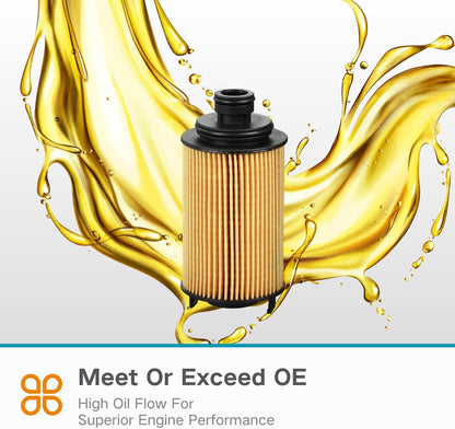 E4G16-1012040 Oil Filter Compatible 2010 A3 1.6 2011 Tiggo DVVT 2012 Riich G3 1.6L 2013 ARRIZO 7 1.6L E4G16-1012040